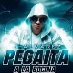 J Alvarez - Pegaita A La Bocina MP3